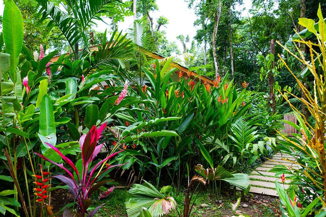 La Paz Del Caribe Adults Only Frühstückspension