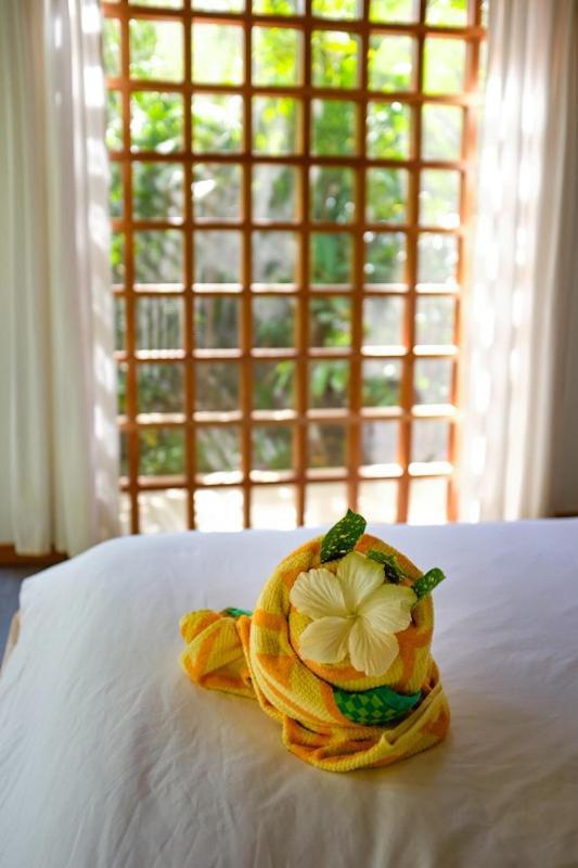Bed & Breakfast La Paz Del Caribe Adults Only Puerto Viejo de Talamanca