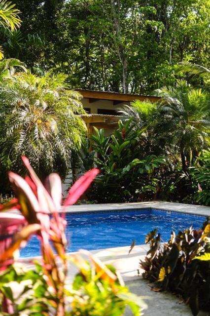 La Paz Del Caribe Adults Only Bed & Breakfast