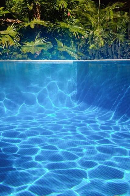 Bed & Breakfast La Paz Del Caribe Adults Only