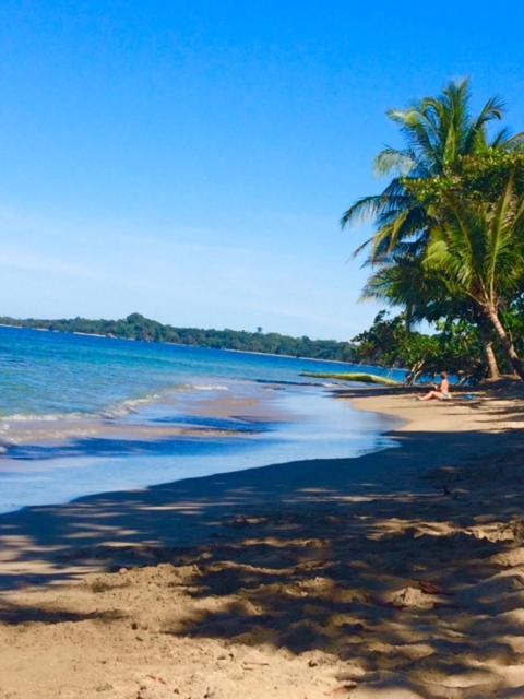 La Paz Del Caribe Adults Only Bed & Breakfast Puerto Viejo de Talamanca