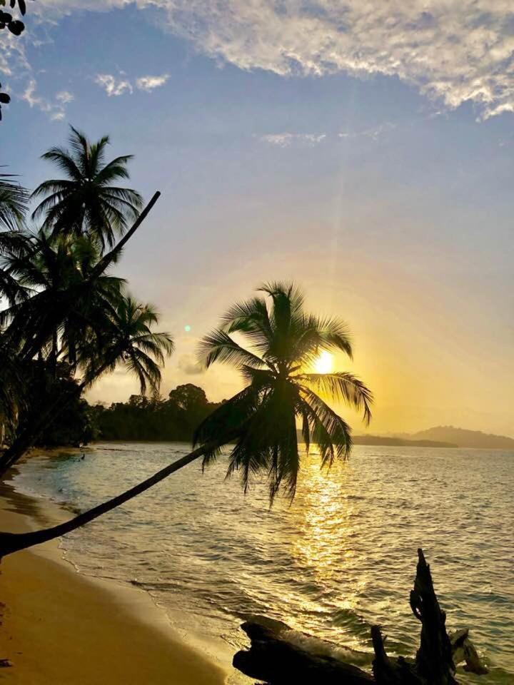 La Paz Del Caribe Adults Only Bed & Breakfast